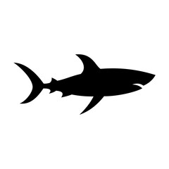 Shark silhouette flat illustration on isolated background