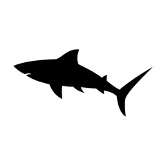 Shark silhouette flat illustration on isolated background