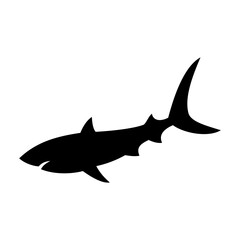 Shark silhouette flat illustration on isolated background