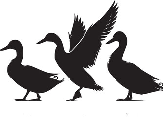 Fototapeta premium Duck silhouette isolated on white background. Duck logo.