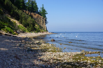 Cliff in Gdynia Orłowo on the Baltic Sea.