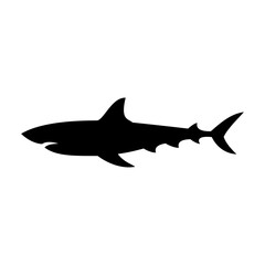 Shark silhouette flat illustration on isolated background