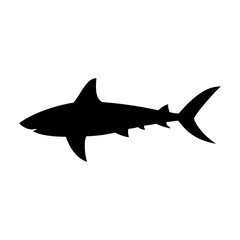 Shark silhouette flat illustration on isolated background