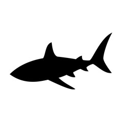 Shark silhouette flat illustration on isolated background