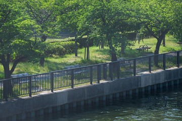 大阪の毛馬桜之宮公園