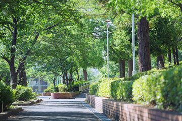 大阪の毛馬桜之宮公園