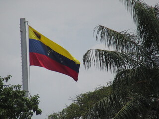 VENEZUELAN FLAG