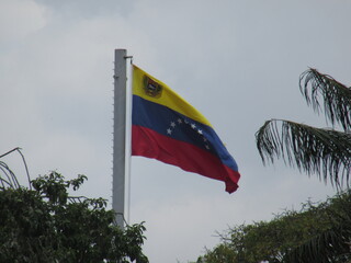 VENEZUELAN FLAG