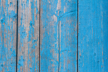 blue wooden background, old wooden wall with remnants of turquoise paint.