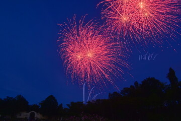 花火　打ち上げ花火　花火大会　岡山　おかやまフォレストパーク　ドイツの森