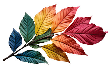 Fototapeta premium Rainbow leaves bring the beauty of fall to life.