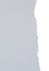 Papel cuadriculado de un cuaderno rasgado  y cortado en trozos de color blanco sobre fondo blanco, recurso gráfico