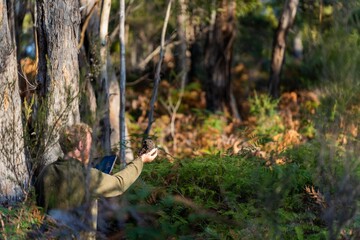 university student conducting research on forest health. farmer collecting soil samples in a test tube in a field. Agronomist checking soil carbon and plant health on a farm in australia