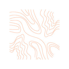 Topography Pattern Line