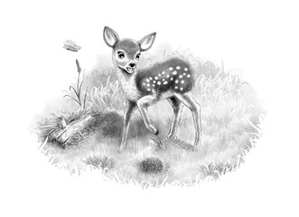 Ein kleines Rehkitz Tier Baby steht auf im hohen Gras auf einer Wiese und schreckt vor einem zusammengerollten Igel zurück mit erschrockenen Blick. Ein Schmetterling fliegt davon. schwarzweiß 