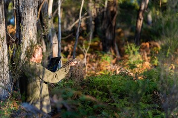  farmer holding soil on her hands on a farm looking after the health of the earth in spring