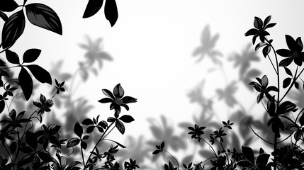 Monochromatic abstract background with black and white floral silhouettes.