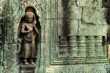 Aspera in East Mebon, Angkor, Cambodia