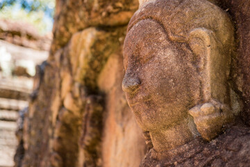 Aspera in Ta Som, Angkor, Cambodia