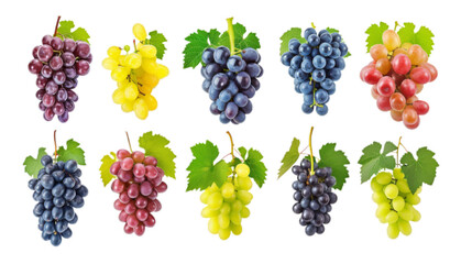 Set of grapes of different varieties and colors isolated on white background
