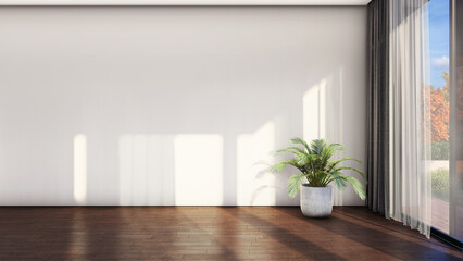 Empty room with plant and window