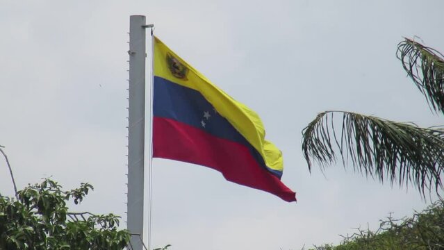 Venezuela flag 