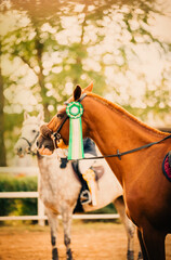 In the sunny day of a summer day, a portrait of a sorrel horse adorned with a green rosette on its bridle captures the triumph of a competition victory.