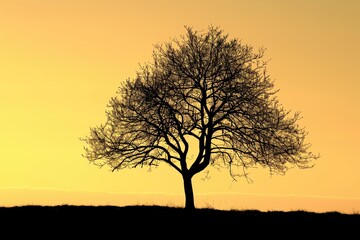Fototapeta na wymiar Golden Hour Silhouette, Professional studio photography, hyperrealistic, minimalism, negative space, high detailed, sharp focus, silhouette of a tree against the golden hour sky