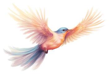 PNG Bird flying animal white background hummingbird.