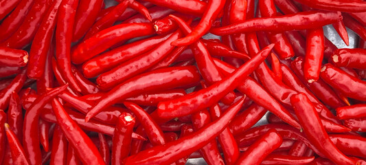 Red chilli for spicy cooking, background