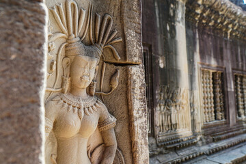 Aspera in Angkor Wat, Cambodia