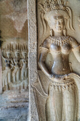 Aspera in Angkor Wat, Cambodia