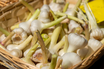 fresh garlic cloves for sale at a market