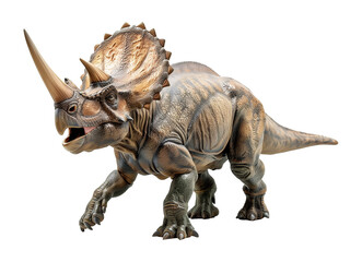 Fototapeta premium Triceratops Isolated on Transparent Background 
