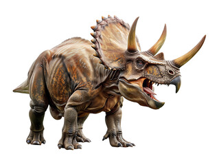 Triceratops Isolated on Transparent Background
