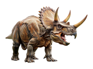 Triceratops Isolated on Transparent Background

