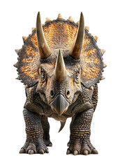Triceratops Isolated on Transparent Background  © RenZen