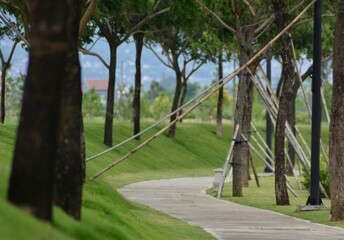 Portait Of A Sidewalk With Trees