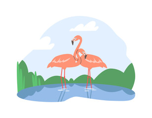 Flamingos in wetland vector illustration