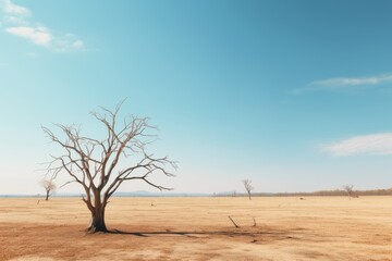 a lonely tree in the middle of a vast desert. The tree is dead, and its branches are bare. The ground is cracked and dry. The sky is clear and blue.