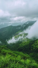 Green mountain landscape in the clouds on an overcast day