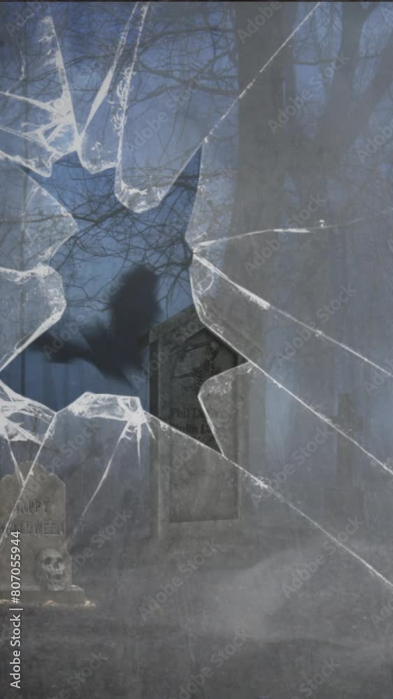 Wall mural vertical broken window graveyard with bats 4k loop features a broken window with a view of a dark fo