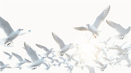 Obraz premium A flock of white birds flying in the sky