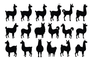 Set of Llama black Silhouette Design with white Background and Vector Illustration
