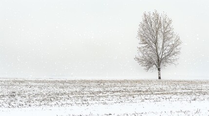 A lone tree stands in a snowy field. The snow is falling heavily, and the tree is covered in snow. - Powered by Adobe