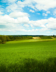 Green fields in Kashubia region - Northern Poland.