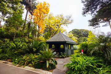 Royal Botanic Gardens in Melbourne Australia