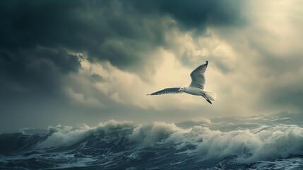 This is a photo of a seagull flying over a rough sea. The bird is white with black wingtips, and...