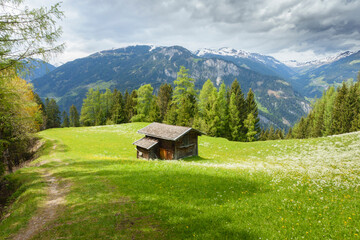 Berghütte auf einer Waldlichtung in den Alpen