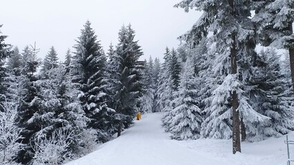 Obraz premium The snow-covered piste for skiers and snowboarders is laid out among snow-covered spruce trees. Stationary snow cannons are located on it. Footprints in the snow. Overcast, frosty and foggy weather